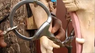 Slow Twist Fixed Ring Snaffle