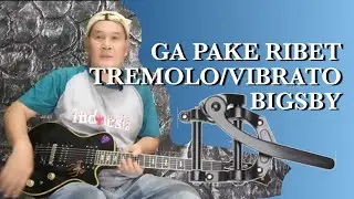 ALASAN PAKE VIBRATO / TREMOLO BIGSBY @SlashOfficial #guitar #belajargitar 