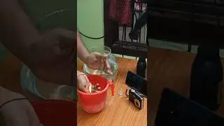 How to clean fish bowl || how to change water in aquarium #ashortaday #trending #minivlog