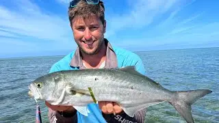 Shark bay Tailor! How to catch them in shallow water 💦