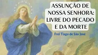 O DOGMA da ASSUNÇÃO da virgem MARIA revelado na BÍBLIA- Frei Tiago de São José