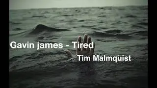 alan walker ft gavin james - tired cover