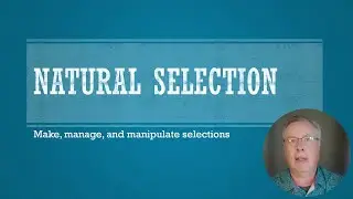 Natural Selection in Photoshop