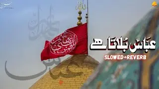 Abbas Bulata Hai | Nadeem Sarwar | Slowed+Reverb+Lyrics | Tears Of Hussain