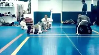 Mad Tiger Academy - Alika Parsons Profile