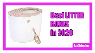 ✅ 5 Best  LITTER BOXES in 2020