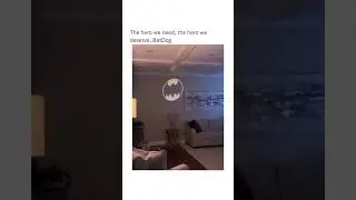 contentmeme #shorts #shortvideo