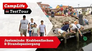 Familienausflug in Dänemark