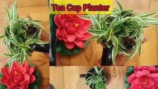 Cup Planter,Tea Cup Planter, Broken Tea Cup Planter,Reuse Of Old Cup