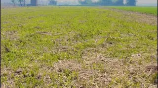 Best time for investment 6500 gaj farm house R-Zone land available for sale in derabassi Inder M.C