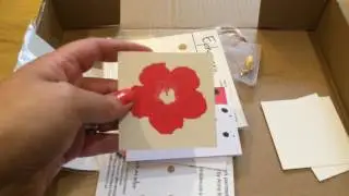 Brimbles Box June 2016 unboxing!