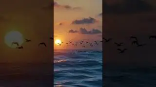 A quiet sea and sunset | Relaxation for the soul #nature #meditation #sea #relax #soothing