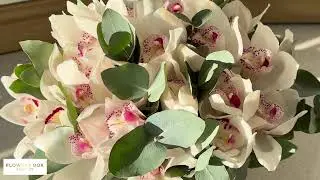 🤍 Cymbidium White Orchids & Eucalyptus Box &ndash; Elegant Floral Gift by Flowers Box London 🌿✨