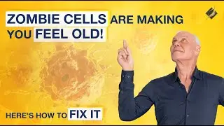 Senescent Cells: Your Body's Secret Aging Switch