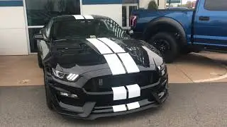 WOW! 2018 Ford Shelby GT350!