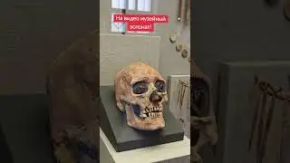 Необычный экспонат в московском музее #москва #история #историческиездания #history #россия