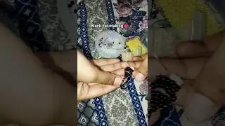 beaded cat making🎀 #music #diy #howtomake #cat #beadedjewelry #artisticchannel #easydiy #easyart #fy