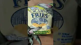 Vintage Barcode Battler Scampi special #cthulhu #shorts #retrogaming #asmr #vintage #games #90s