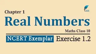 NCERT Exemplar Problem Solutions Class 10 Maths Chapter 1 Exercise 1.2 Real Numbers.