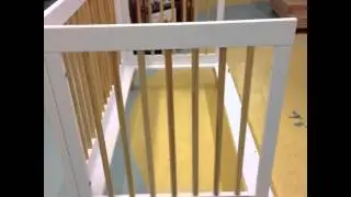 The Lolly crib from Babyletto is here!