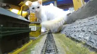 “Be a Bridge to Happiness ♡ Diorama Shokudo Needs Your Kindness”