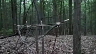 10 Witches Caught on Camera