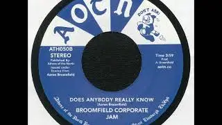 Broomfield Corporate Jam - Does Anybody Really Know