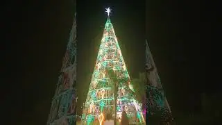 Árvore de Natal lagoa 