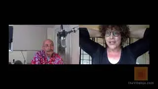 2019-01-16 The V.O. Dojo Q&A Webinar 