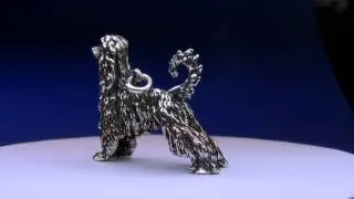 Afghaanse windhond, massief zilver