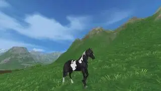 SSO | SELFMADE HORSE TEXTURES