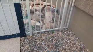 AZ Snake Proofing LLC. snake prevention fence