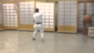 Mastering Nijushiho: Final Sequences Clearly Explained by Shihan Marcel Lussier 7th Dan IKD Shotokan
