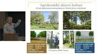 „Strom v zemědělské krajině“ přednáška č. 04  Vrby a topoly v agrolesnických systémech