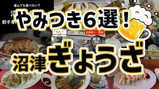 【第16弾】【沼津・餃子特集】やみつき６選！！　沼津餃子特集　ひとり旅【高千穂】【空海】【雪ん子らーめん】【屋台ラーメン】【富士山餃子】【豚平】