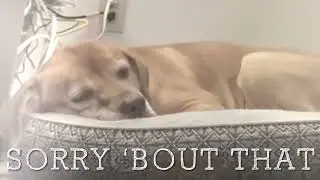 Sorry &lsquo;Bout That - an original song by BRIAN KRUSE 