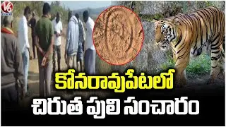 Villagers Spotted Leopard In Konaraopeta Village | Rajanna Siricilla | V6 News