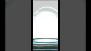 Shadow Shiny Aipom evolves into... #Ambipom #pokemongo #pokemon #shiny #shadowshiny #aipom #evolve