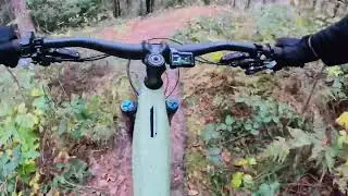 MM MTB Mahlbergturm 