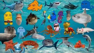 Oceanic Gegagedigedagedago Compilation