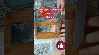 ТЕБЕ ЗДЕСЬ БОЛЬШЕ НЕ МЕСТО 