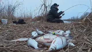 Float and Bottom Fishing in January: Tons of Fish in This Hotspot! Astrakhan Adventure
