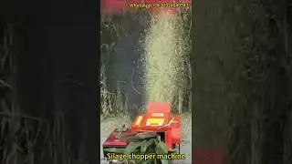 Silage Chopper Machine | High-Efficiency Forage Cutting for Corn Straw & Grass | Demo