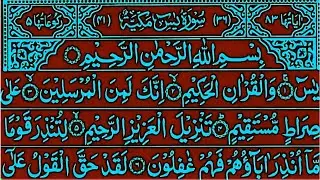 Surah Yaseen Surah Rahman || Surah Mulk full || Beautiful Qur'an Recitation || Most Qur'an Tilawat