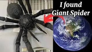 Ifound a Giant Spider at home on google Earth!#video @discoverthe.mystery