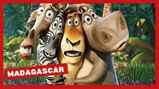 A História Completa de Madagascar – Eu Me Remexo Muito, Pinguins e Muita Comédia!
