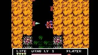Gargoyle's Quest II: The Demon Darkness - Part 3