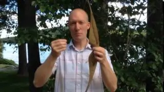 Basic Bow and Arrow Anatomy