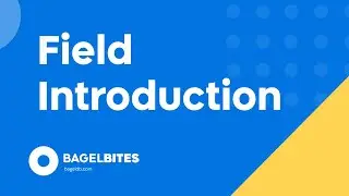 Field Introduction - Reference Field