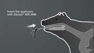 How to Use Altosid&reg; IGR XRB